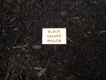 Black Velvet Mulch - 1 Gallon, 2 Gallons or 3.5 Gallons - Free Shipping!