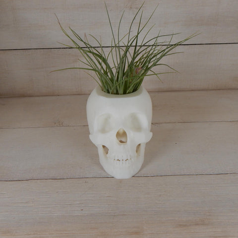 Sugar Skull Planter 3D Printed Free Shipping!